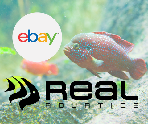 Aquatic store Real Aquatics on eBay