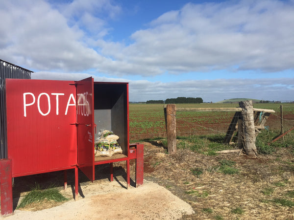 potatoes truffle farm