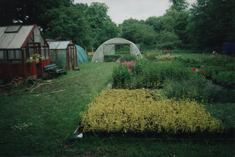 Bean Place Nursery in 1997 Bethersden