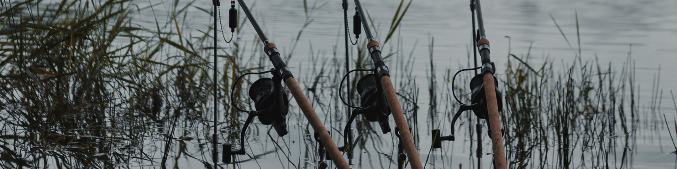 Carp Fishing Rods