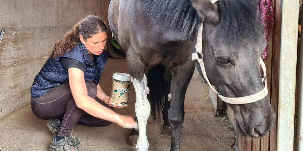 Magdalena wendet PegaNatur COOL - essigsaure Tonerde bei ihrem Pferd an