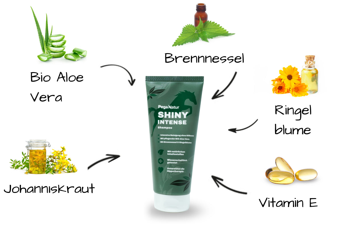 Inhaltsstoffebild PegaNatur SHINY INTESNSE ph-neutrales Pferdeshampoo