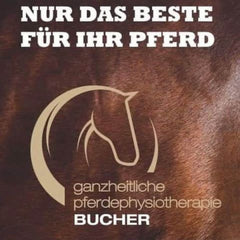 Logo Pferdetherapie Sarah Bucher