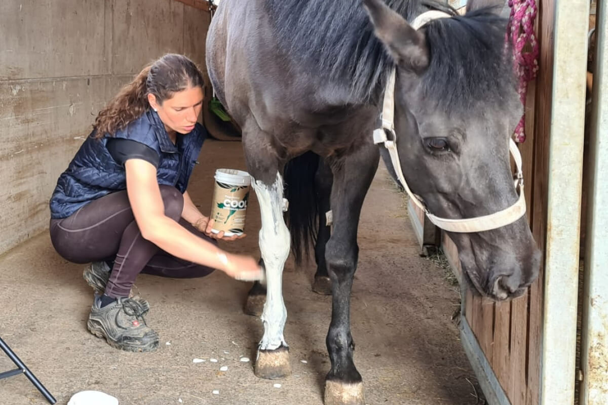 Magdalena nutzt PegaNatur COOL zur langanhaltenden Kühlung der Pferdebeine Ihrer Stute - PegaNatur