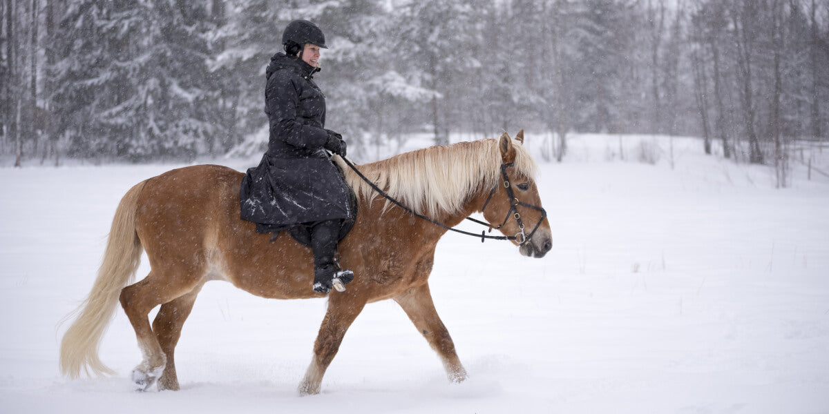 Reiterin mit Pferd im Schnee