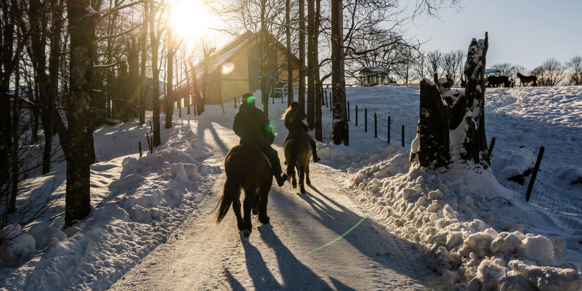 Reiterinnen mit Pferd im Schnee im Wald - PegaNatur