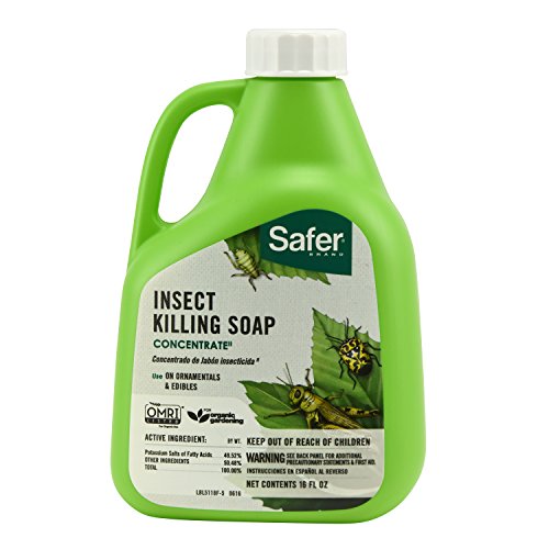 Safer Brand 5118 Insect Killing Soap