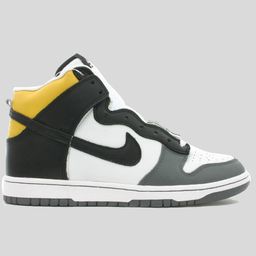 Nike Dunk Hi Pro SB \