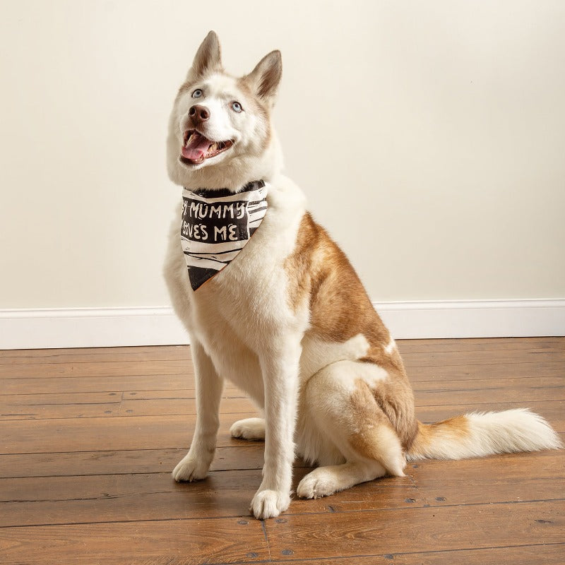 Adorably Spooky Halloween Dog Bandanas - Chelsea Dogs Blog