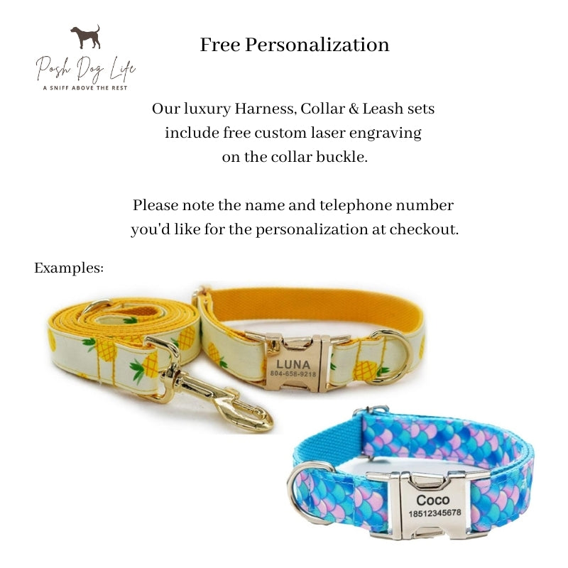 Luxury Harness For Dogs With Leash Set