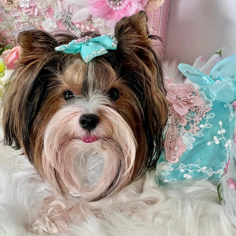 Beautiful Bow Dog Dress | Poshdoglife.com - Posh Dog Life