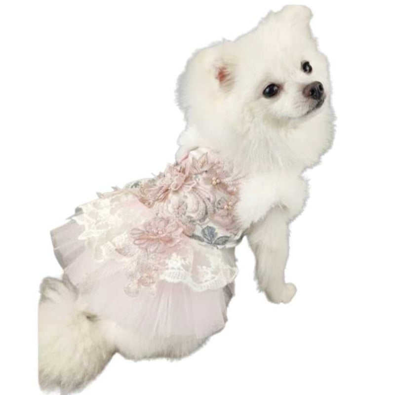 Creme Fraiche Dog Dress: The Classy Dog - Designer Dog Clothes