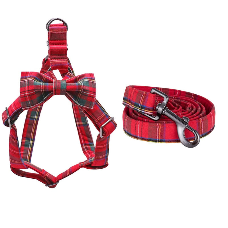 matching collar and harness