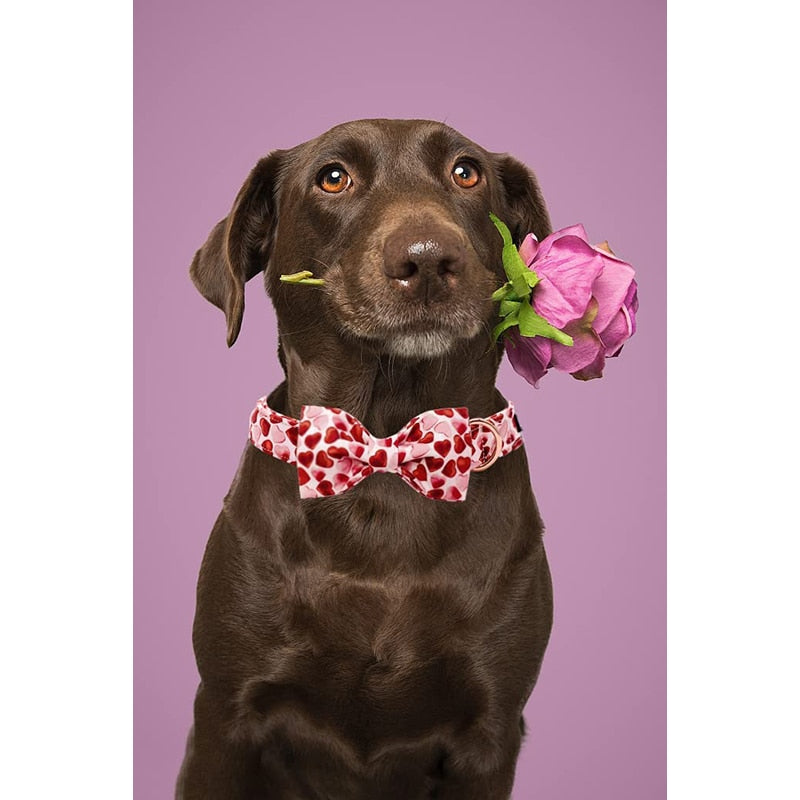 Valentine dog collar with flower - love letters – Juju + Nana