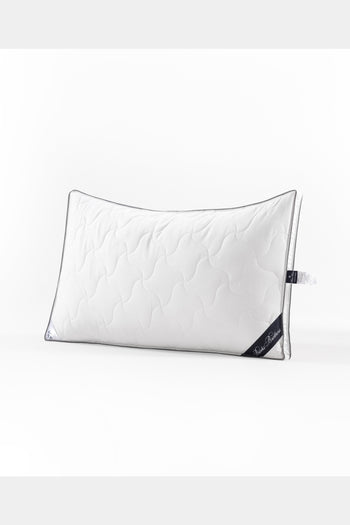 Louis Vuitton Pillow Case Discount, SAVE 39% 