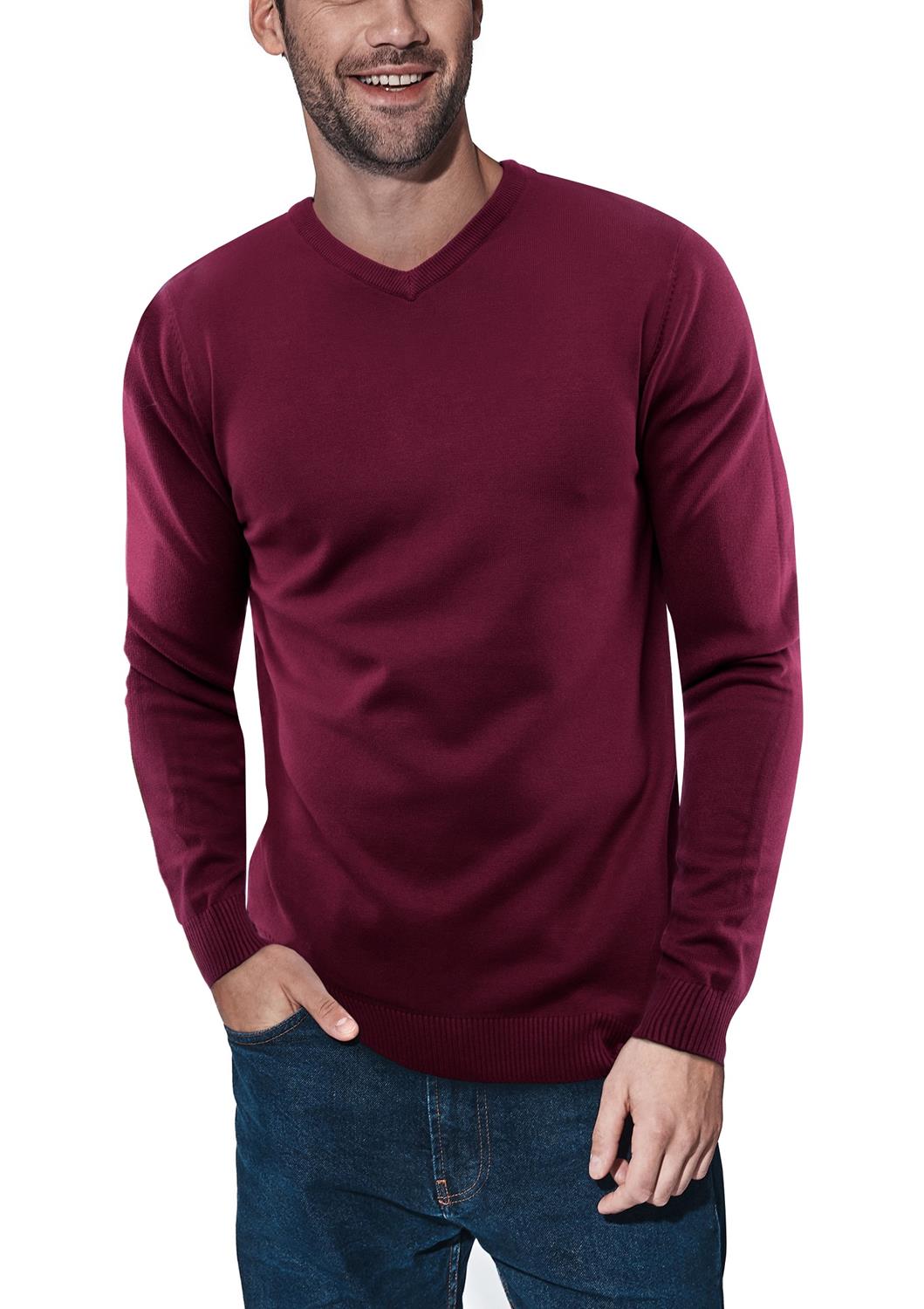 X-ray V-neck Sweater In Plum