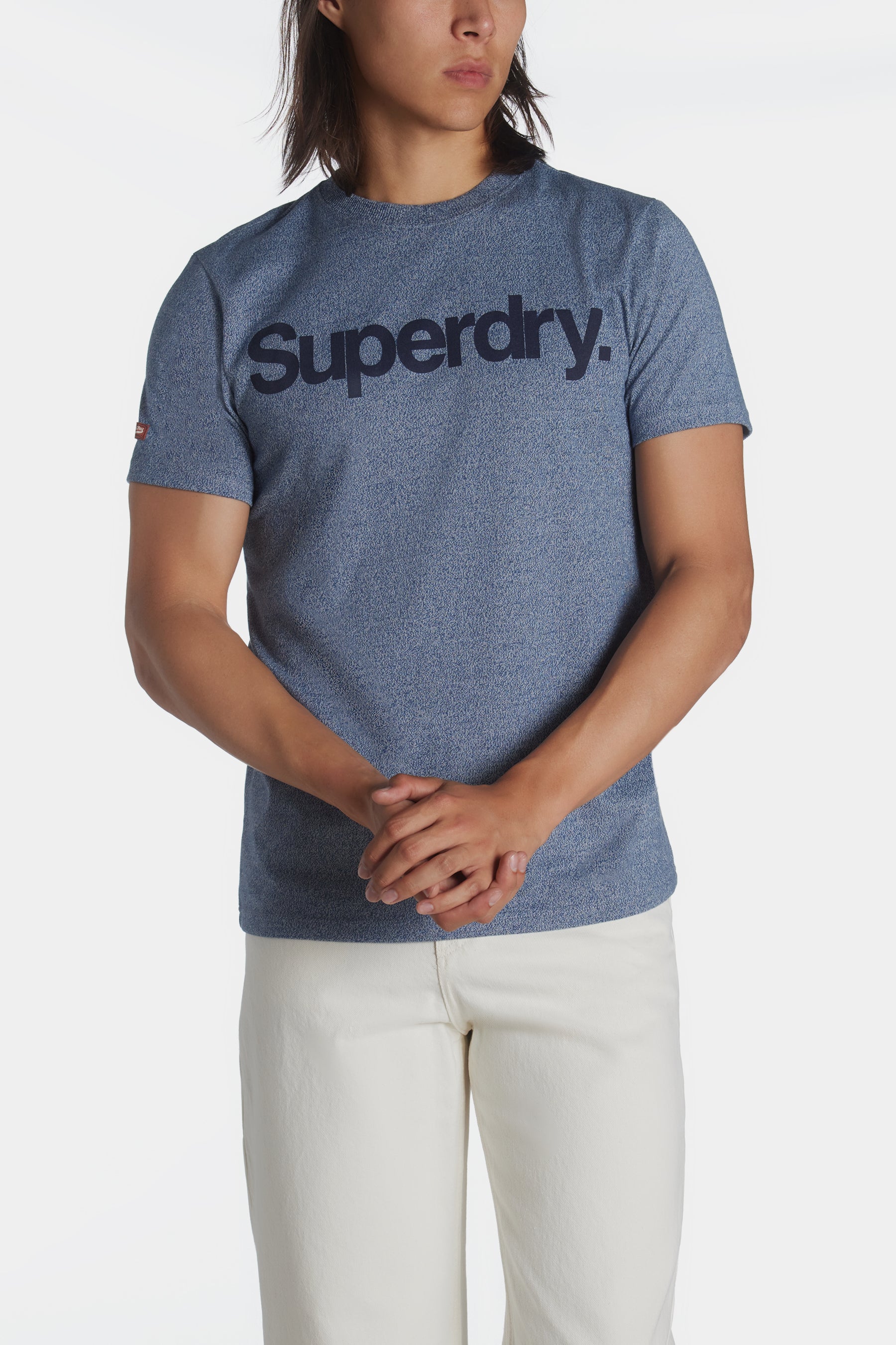 Superdry Men's Core Logo Stripe Princedom T-Shirt