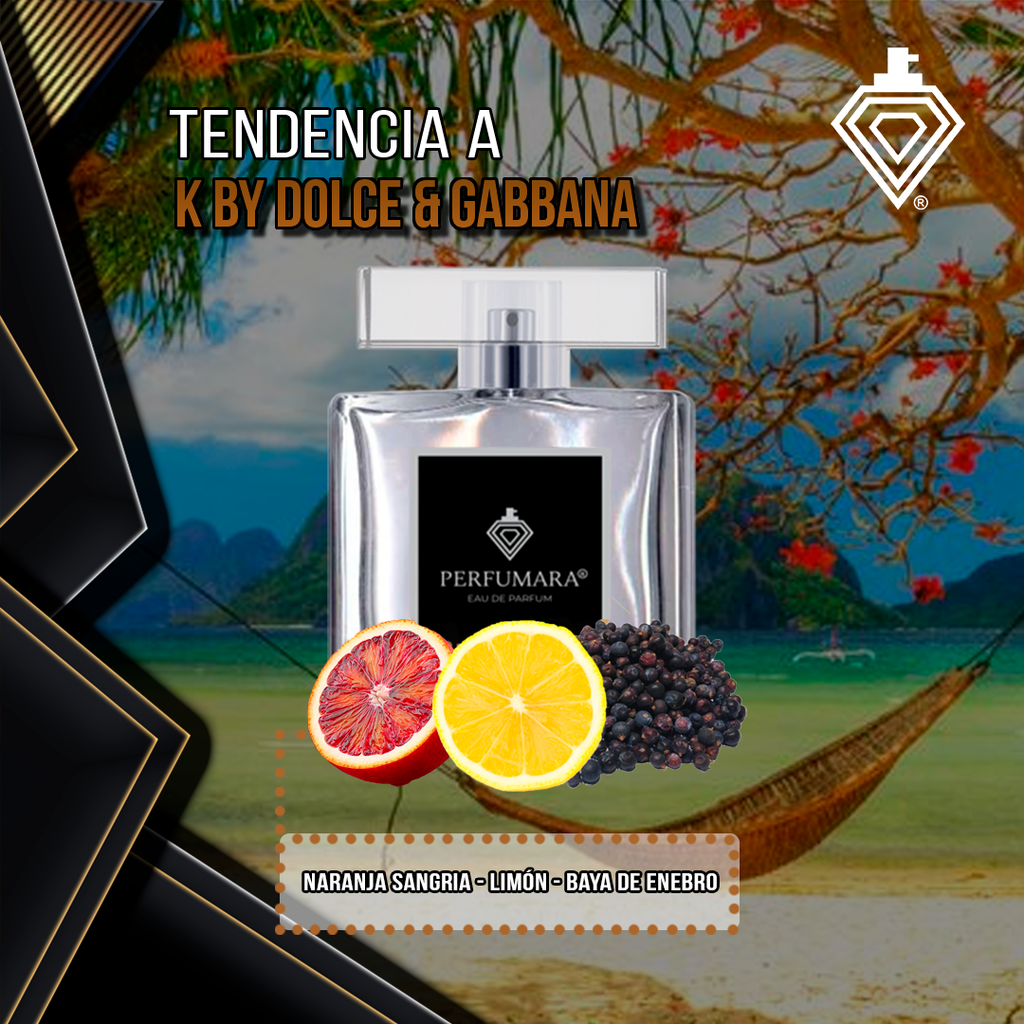 Tendencia a CK by Dolce & Gabbana – PERFUMARA OFICIAL