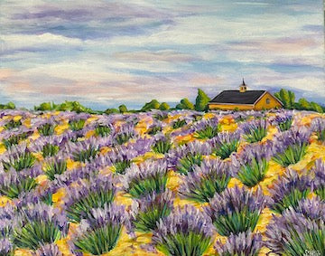 lavender farm