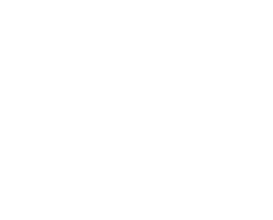 Plastic Flux
