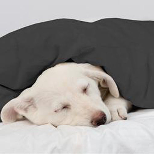 Calming Pets Australia Weighted Blankets for Dogs