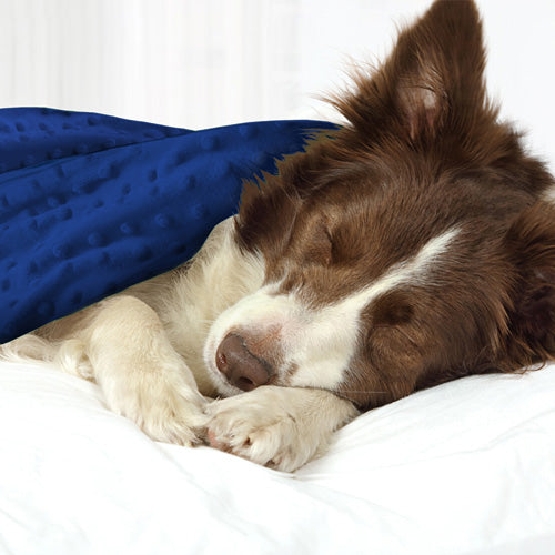 Calming Pets Australia Weighted Blankets for Dogs