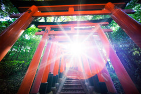 ShrinesandTemples.295.jpg__PID:99f4cc7f-a900-42fe-9a3f-3f014193f49f