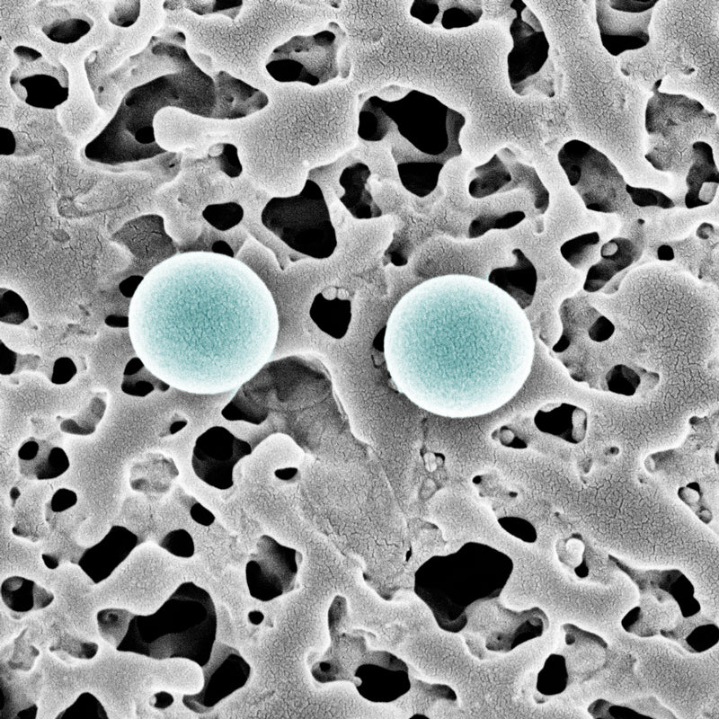 Mikroplastik auf Membran