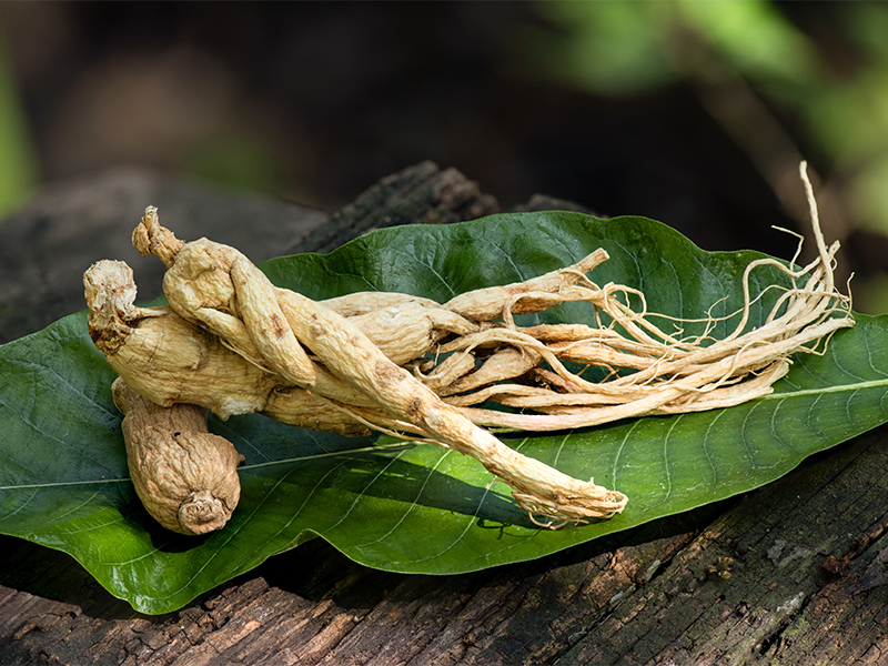 Pieces of raw Ginseng to boost testosterone naturally