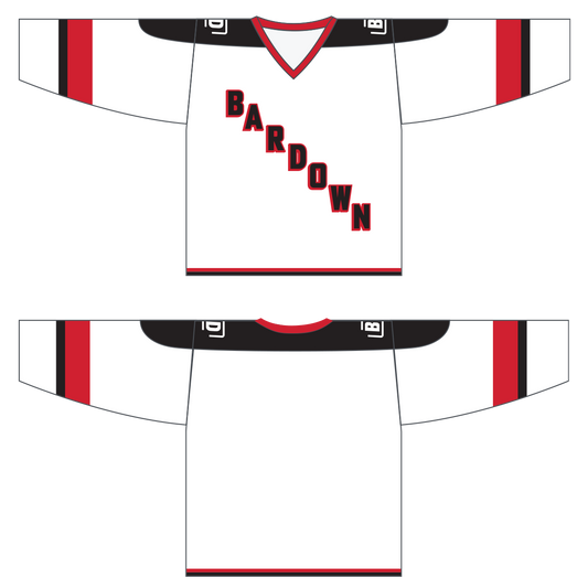 How about an EASHL mailday? Got my team's Chel jerseys created in real  life! : r/hockeyjerseys