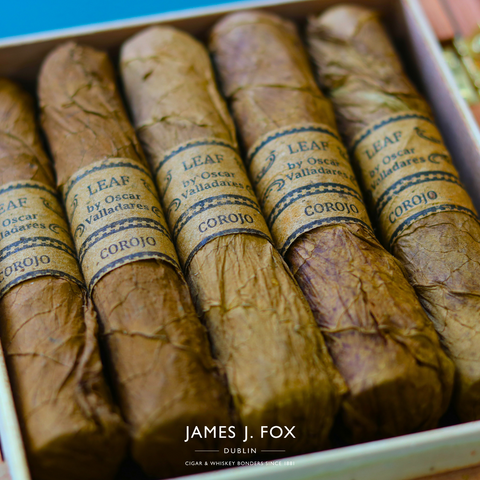 Open box of Leaf by Oscar premium cigars, revealing five cigars inside.