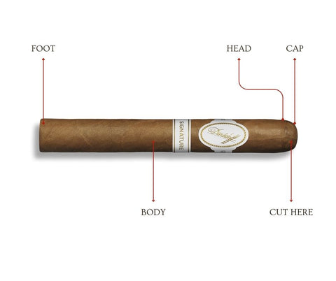 Close-up of a cigar anatomy: Body, head, cap, and foot labeled. "Cut Here" marks the ideal spot on the cap for a pointed cut.