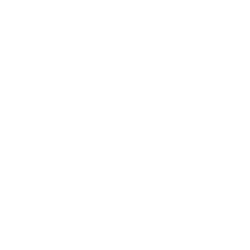 The Dublin Liberties Distillery