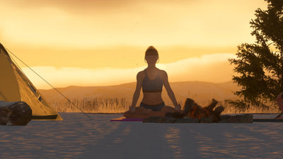 Addon 16