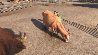 Addon 25