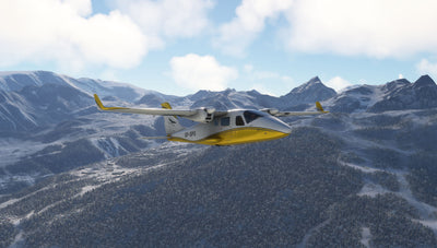Picture 4 for Tecnam P2006T Analog