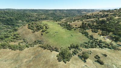 Picture 2 for Bush Plane Campout