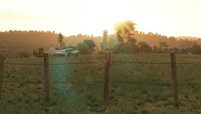 Picture 13 for Bush Plane Campout