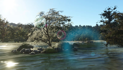 Addon 13