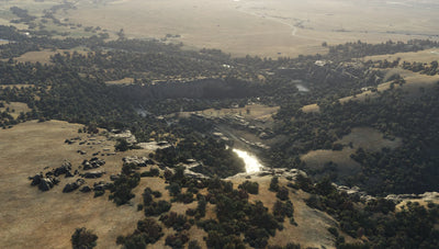 Addon 19