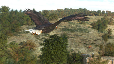 Addon 15
