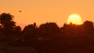Addon 25