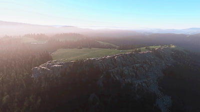 Addon 49