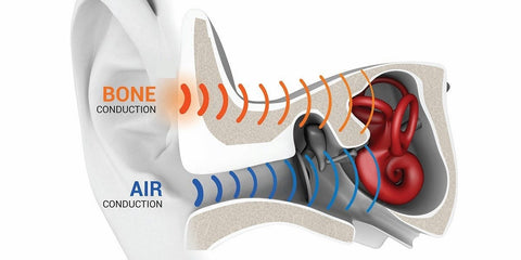 Air Conduction vs. Bone Conduction: A Comprehensive Guide - soundcore US
