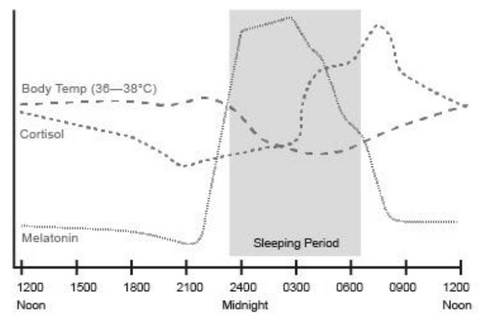 Figure 2. The rise and fall of key hormones, involved in generating sleep. The sharp rise in melatonin is the starting gun for sleep. The drop in body temperature is a key aspect of falling asleep. As the night goes on, melatonin drops, cortisol rises waking you up, and preparing you for the day. 