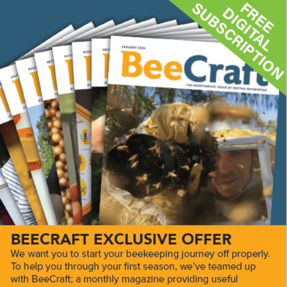 Front Cover of BeeCraft Magainze