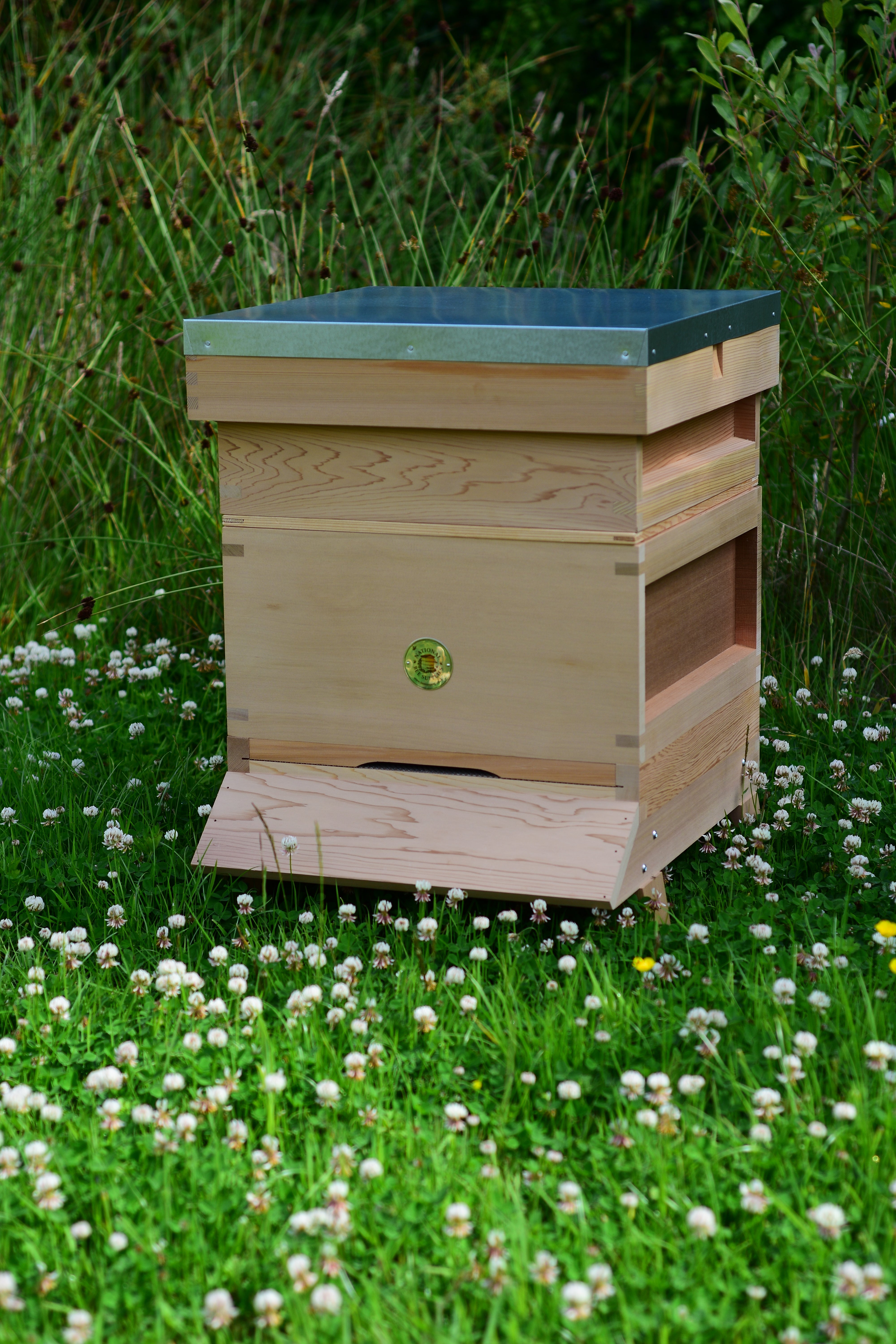 An image of National Hive Starter Kit Assembled, Tall Medium / 8 1/2