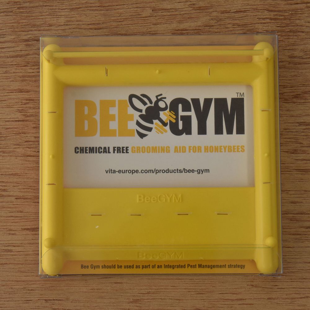An image of Bee Gym