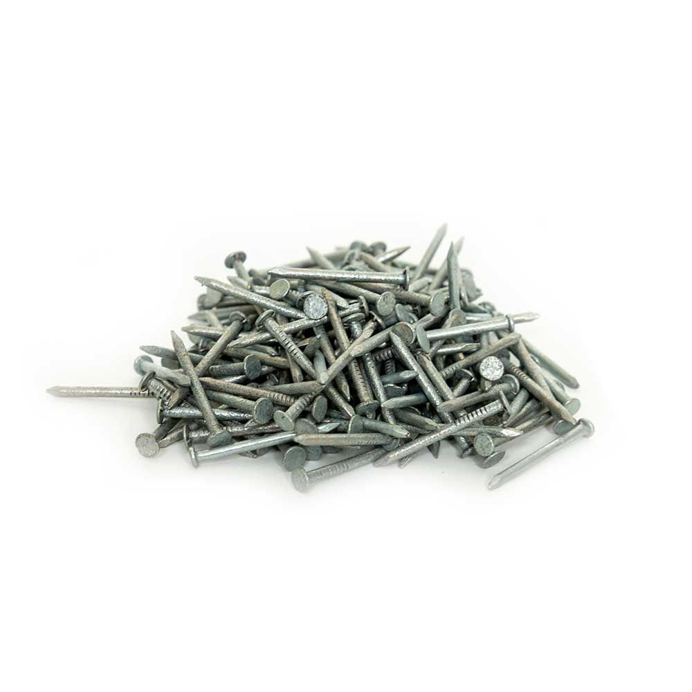 An image of Roof Nails 100g