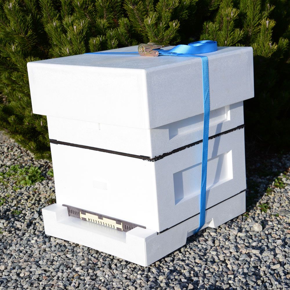 An image of Polyhive Starter Kit, XL / 8 1/2